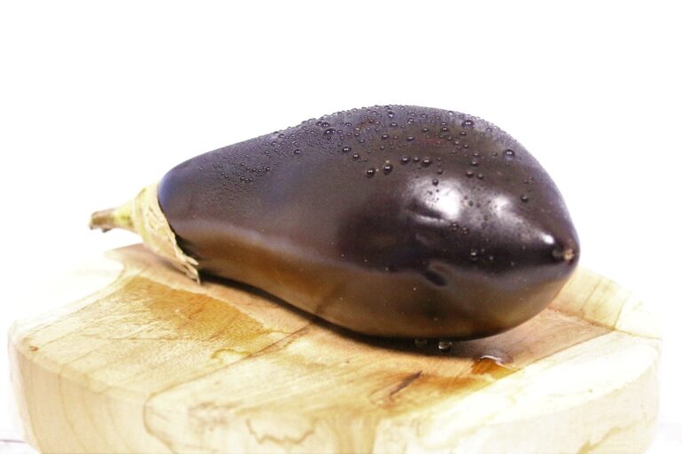 The Role of Caregivers in Elderly Health