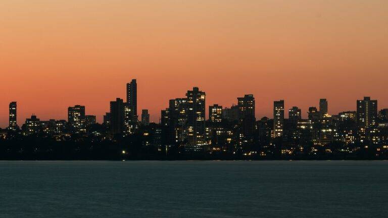 The Role of Political Cartoons in Shaping Public Perception of Candidates