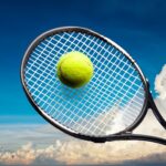 Mahadev Book Id, Mahadev Book Login