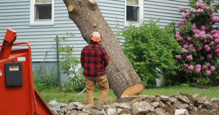 Land Clearing Services Near Me: Expert Solutions for Your Property