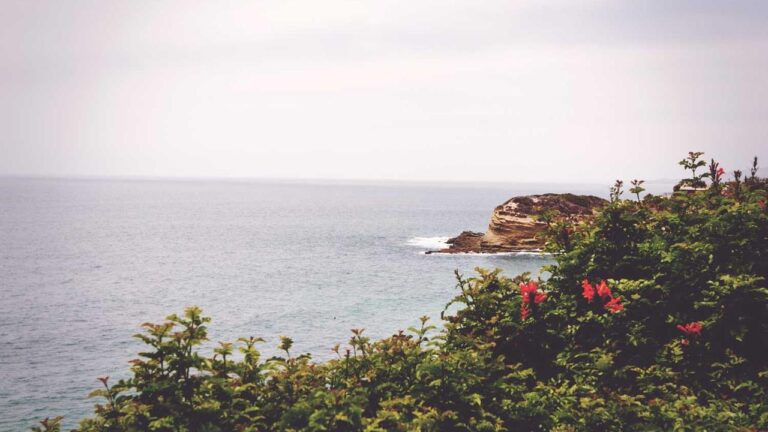 How Do I Access My Account Through The 99Exch App Login?